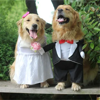 Koera Kostüüm Pulmapidu Suur koer riided väikestele, Keskmise suurusega koerad Koera Kostüüm (ülikond) kleit Printsess, Prints Kuldne retriiver